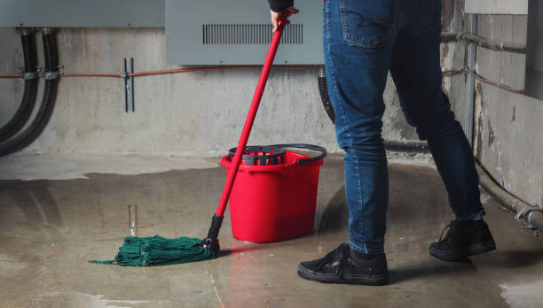 Best Commercial water damage restoration  in Monroe, IA