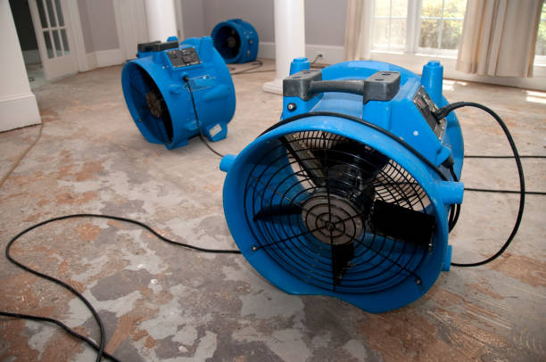 Best Water damage restoration near me  in Monroe, IA