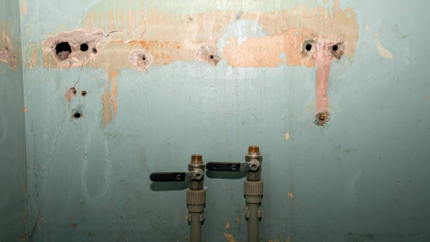  Monroe, IA Water damage restoration Pros