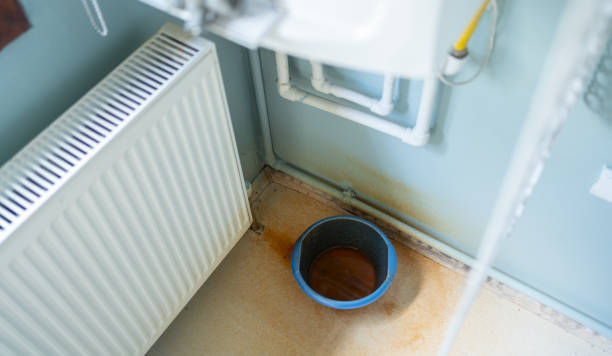 Best Carpet water damage restoration  in Monroe, IA