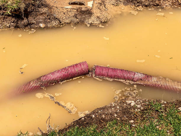 Best Carpet water damage restoration  in Monroe, IA