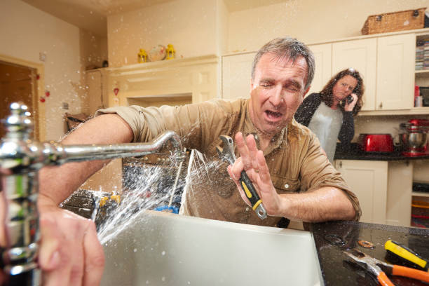 Best Local water damage restoration  in Monroe, IA